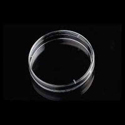 90 x 14mm Petri Dish 